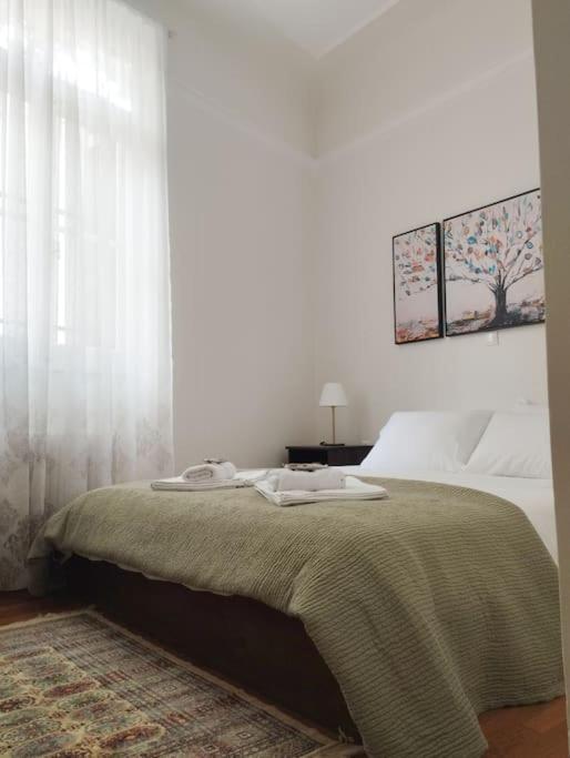 Calliope'S Neoclassical Home In The Heart Of Plaka Atene Esterno foto